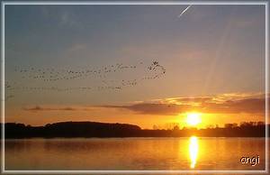 Abend am Selliner See